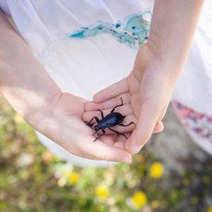 Foto af barn med bille i hænderne