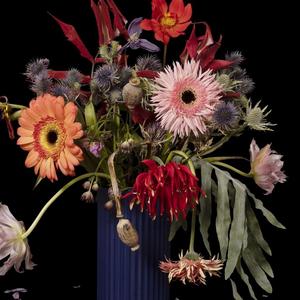 Blomster i vase på sort baggrund