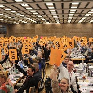 Afstemning på BUPL's kongres 2024