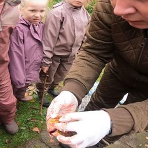 Foto af pædagog med krås fra and