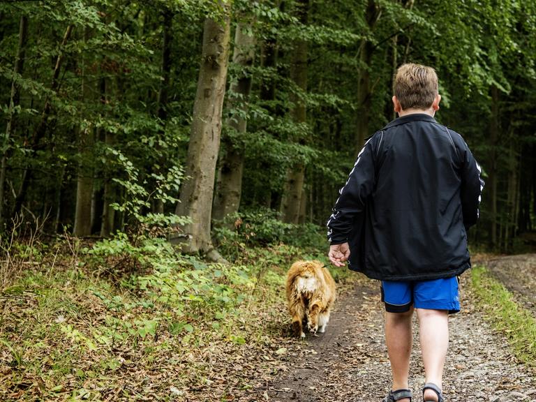 Dreng går mod skov med hund