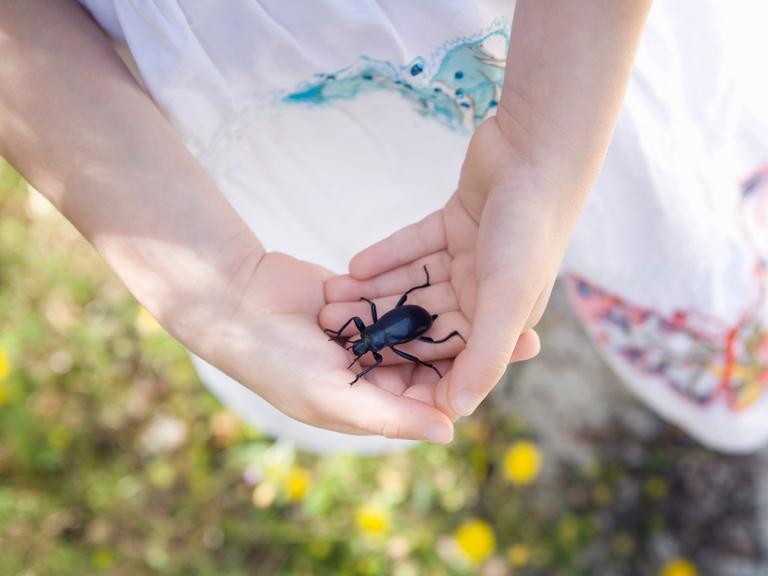 Foto af barn med bille i hænderne