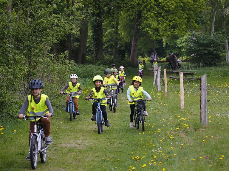Hvert forår cykler børnene i børnehuset Haven i Aarhus 25 kilometer ud i naturen og rundt om Brabrand Sø.