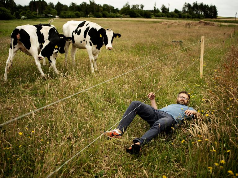 foto af rasmus willig liggende på en mark i nærheden af en ko