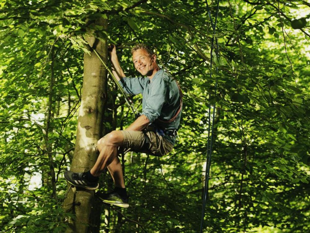 Pædagog Jens Nielsen klatrer i træ