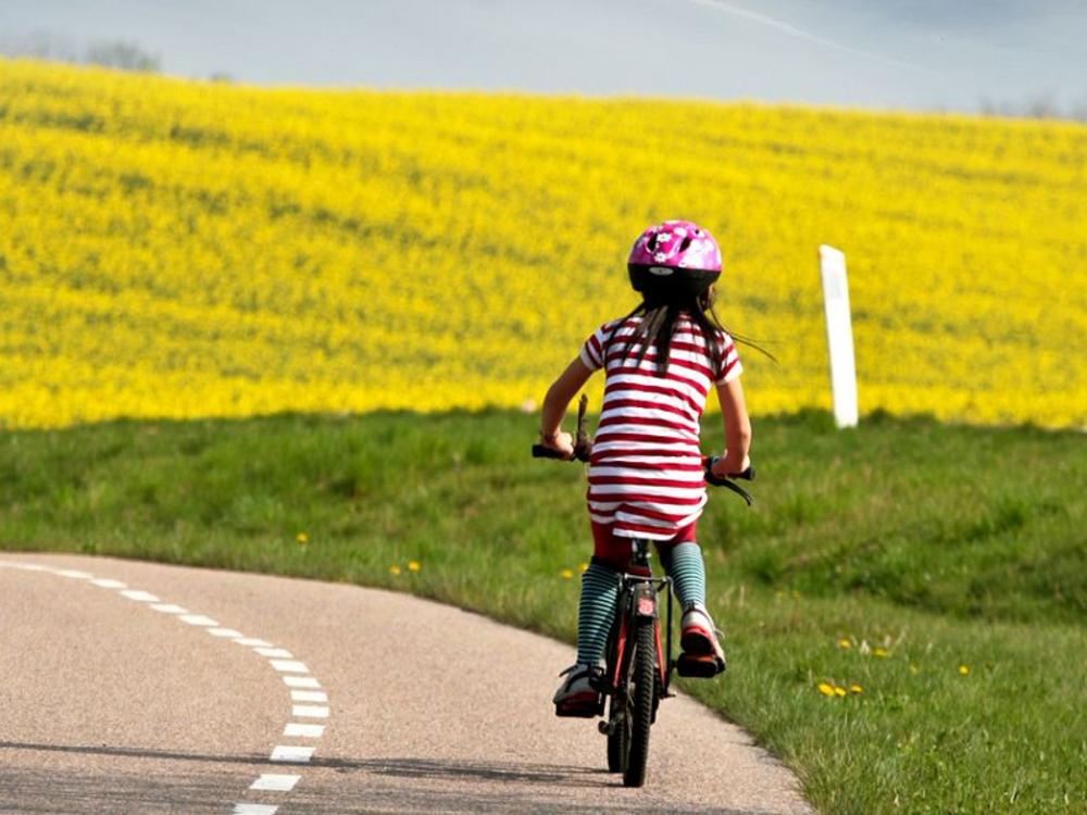 billede ignorere shilling Cykelpædagogens bedste tip: Sådan cykler I sikkert med skolebørn | BUPL