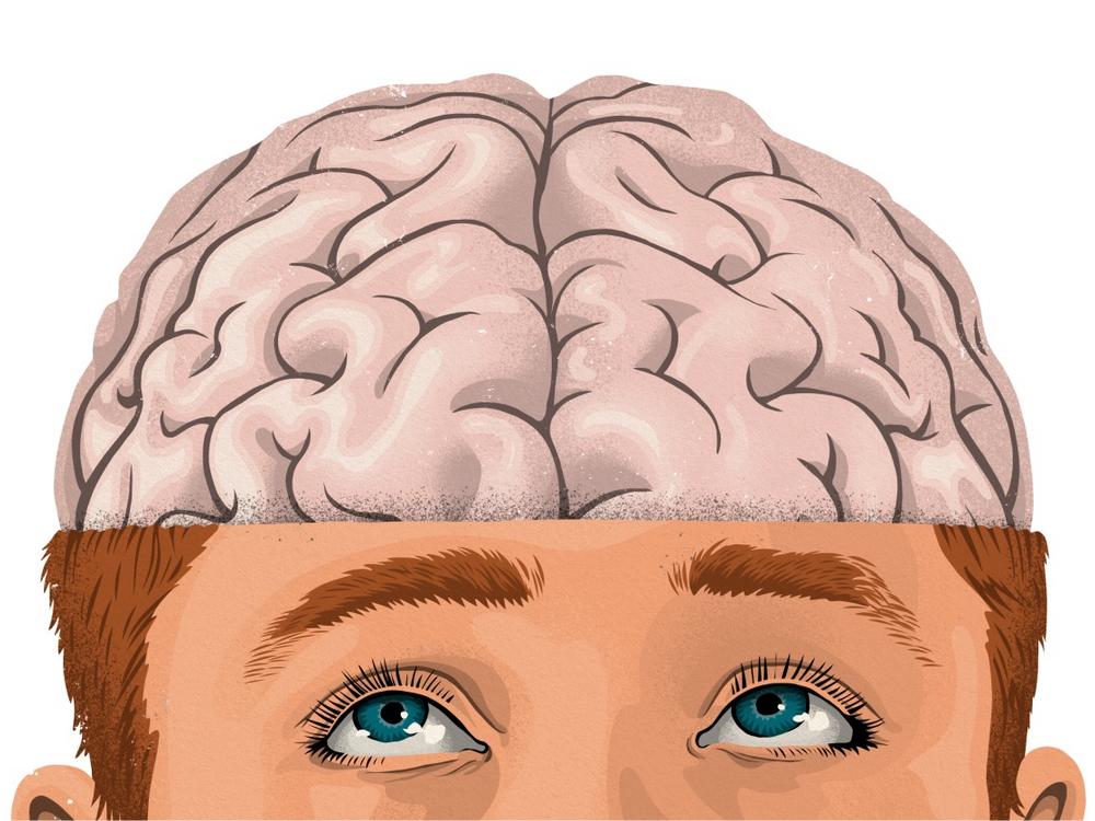 Illustration af ansigt med blottet hjerne