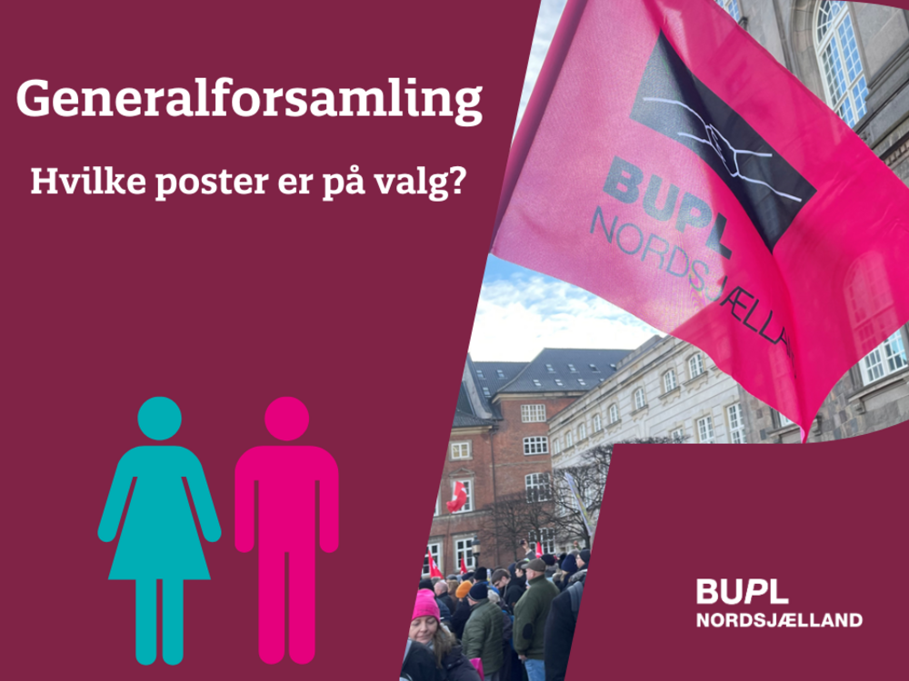 Hvilke poster er på valg