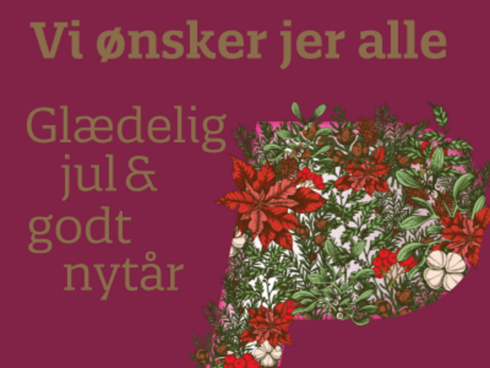 Glædelig jul og godt nytår