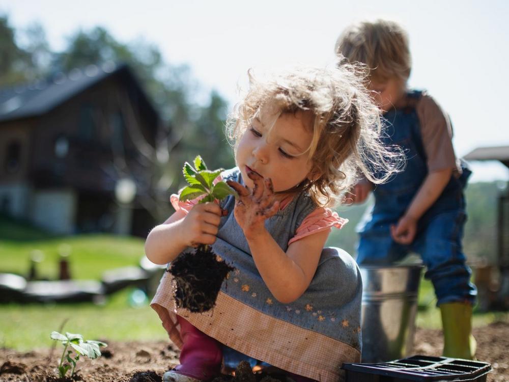 Pige sidder på hug og kigger på plante. I baggrunden graver dreng i jorden.