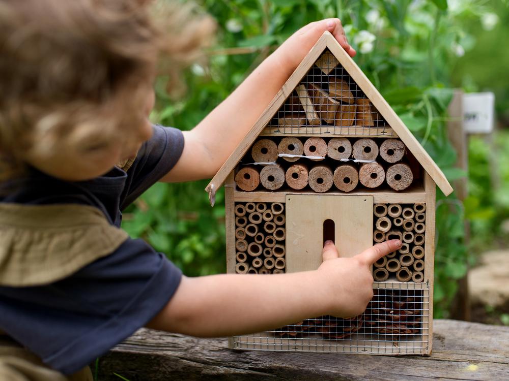 barn med krøller foran insekthotel