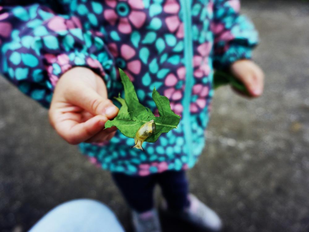 barn udenfor med et blad hvorpå der sidder en snegl