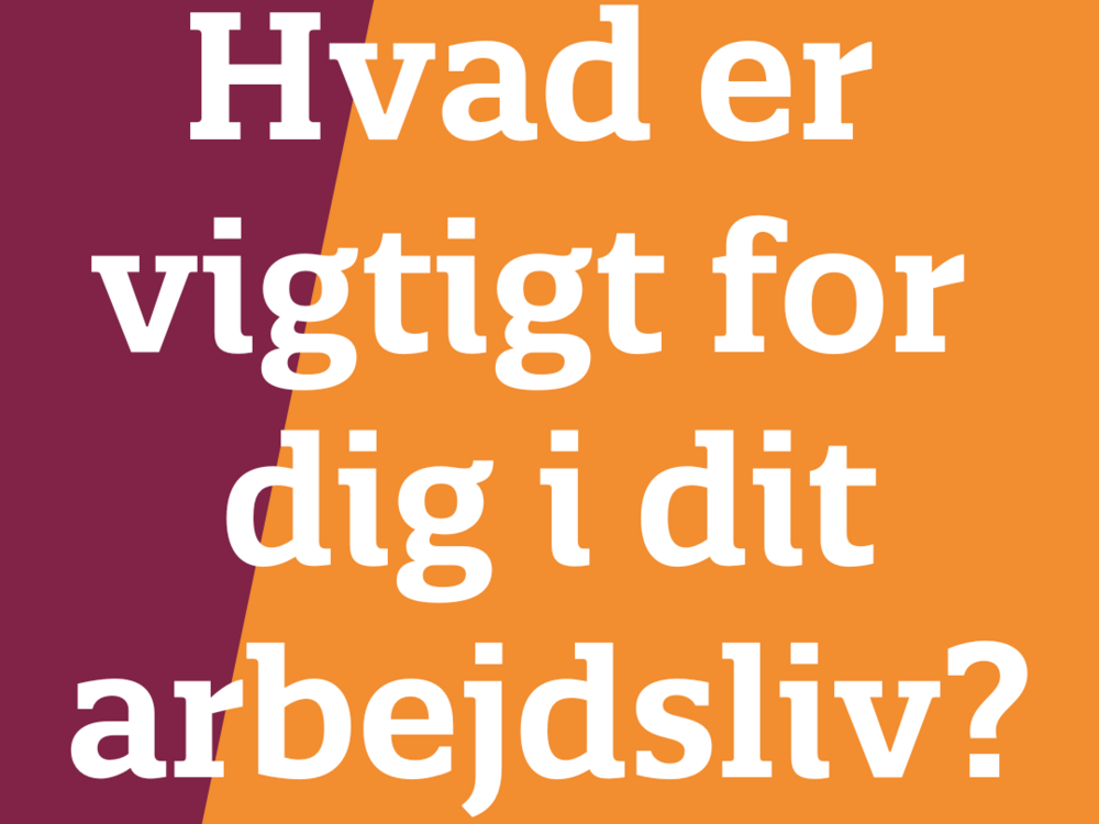 Hvad er vigtigt for dig i dit arbejdsliv