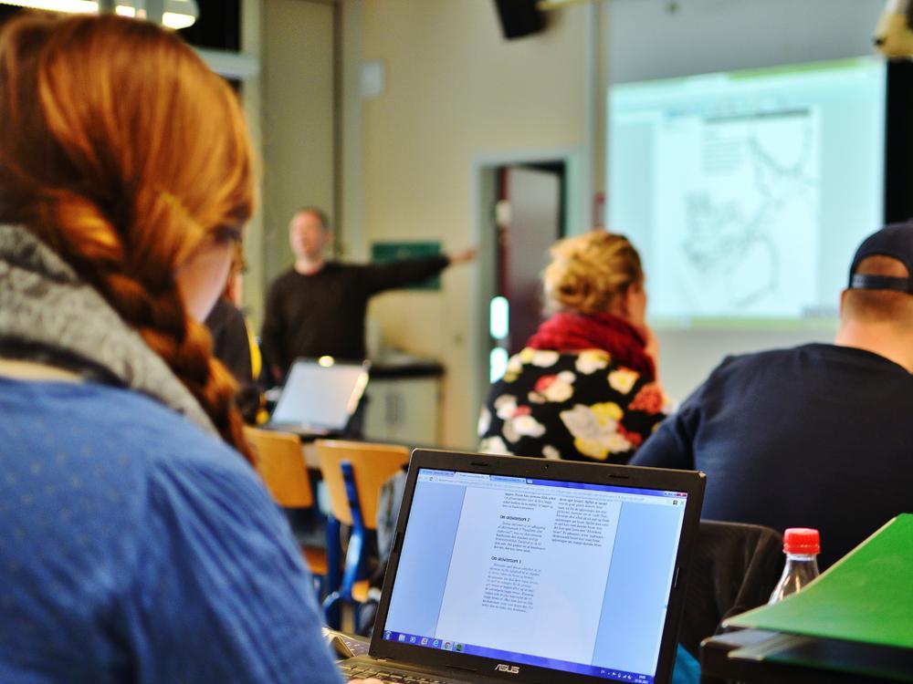 Kompetenceudvikling for pædagoger på Frie Grundskoler