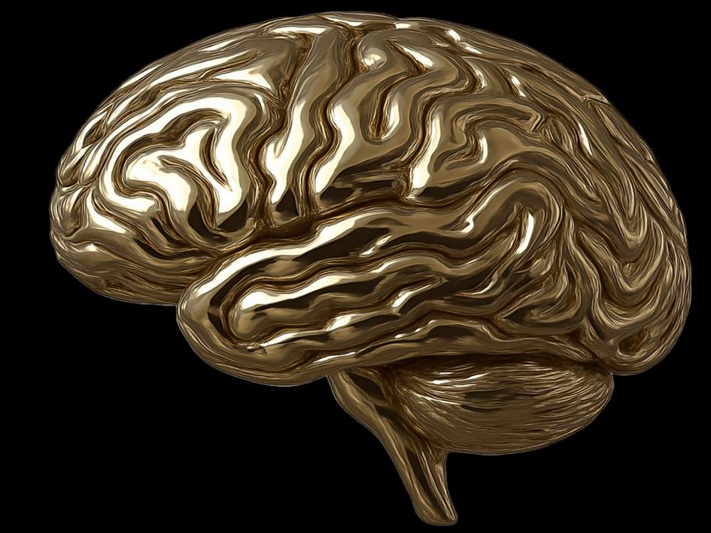 Illustration af gylden hjerne