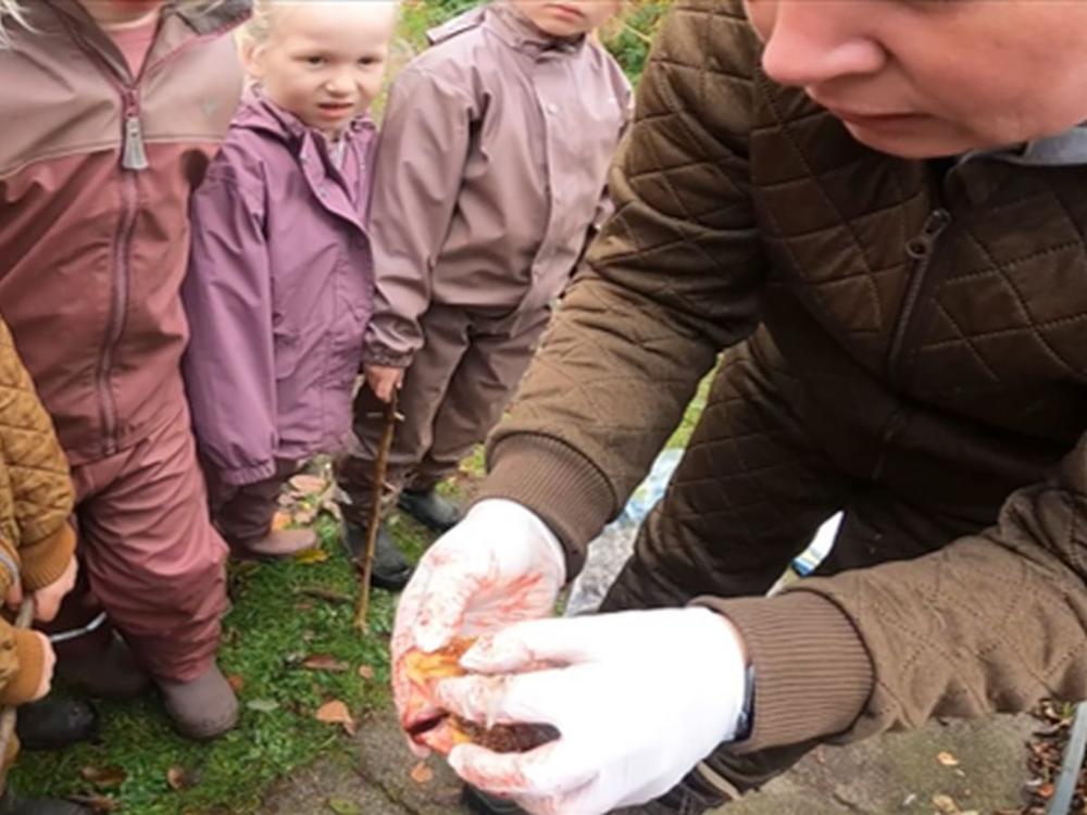 Foto af pædagog med krås fra and