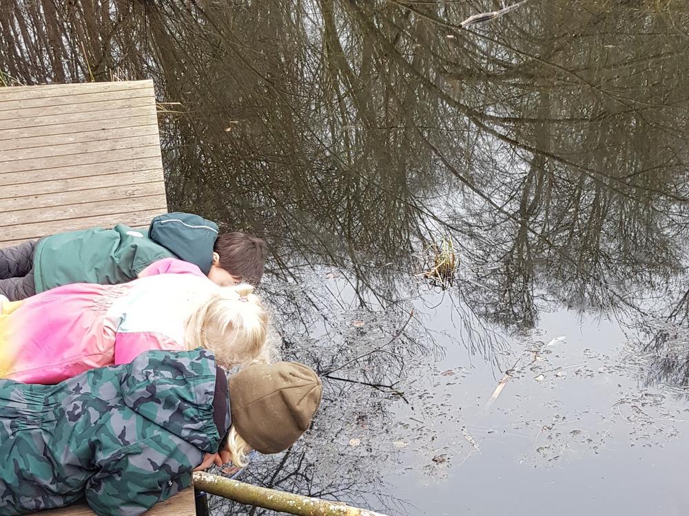 Billede af aktivitet