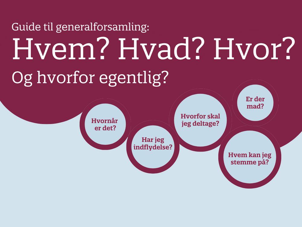 Guide til generalforsamling