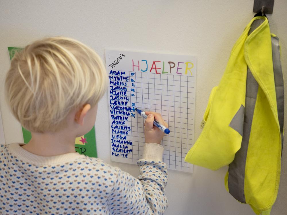 Dagens hjælper-ordning i Vibereden
