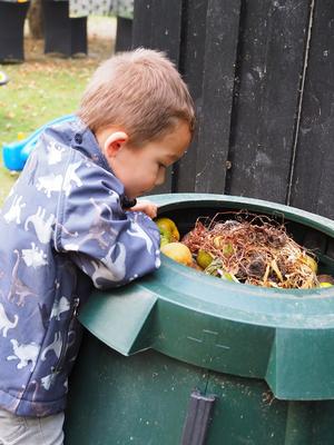 Dreng kigger ned i fyldt komposttønde