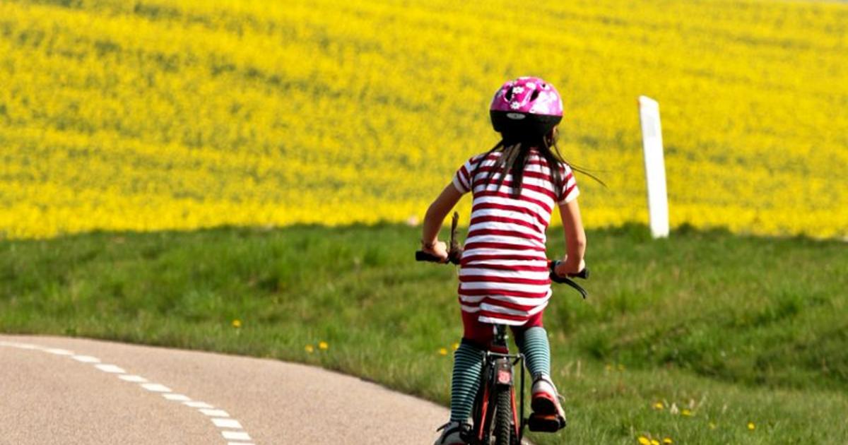bedste Sådan cykler I sikkert med skolebørn | BUPL