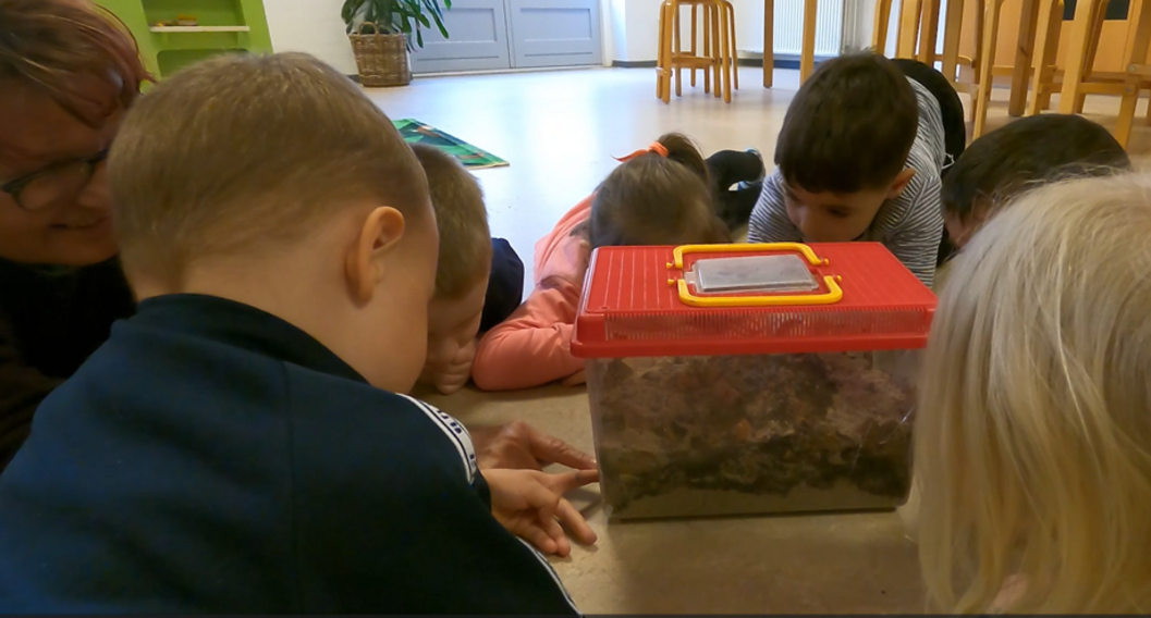 Foto af børn, der kigger på terrarium