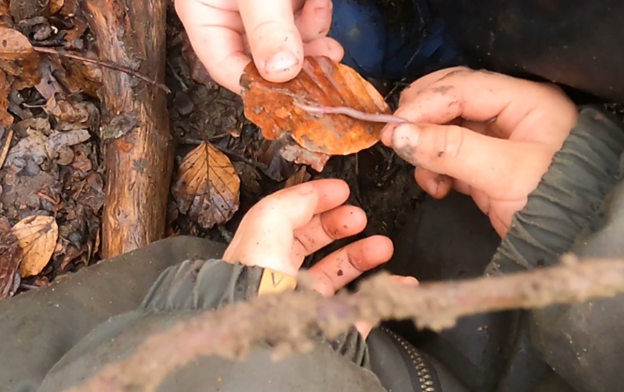 Foto af børn og regnorm