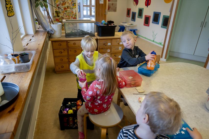 Dagens hjælper-ordning i Vibereden