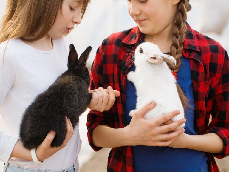 Kaniner skal holdes under numse og over ryggen med fødderne ind mod din krop.